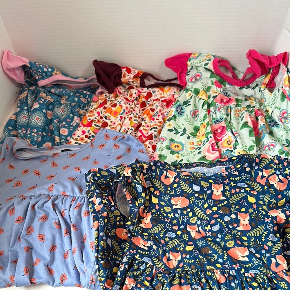 5 piece bundle spring dresses size 3t